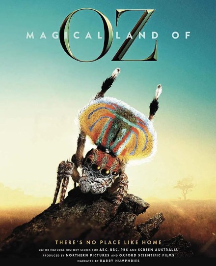 Magical Land of Oz,仙境之地