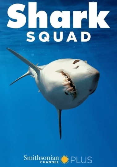 Shark Squad Season 1