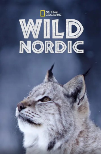 Scandinavia selvaggia(意)